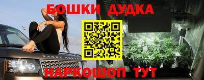 гидра Чапаевск
